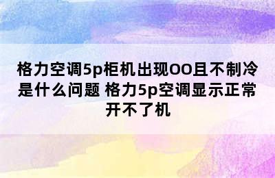 格力空调5p柜机出现OO且不制冷是什么问题 格力5p空调显示正常开不了机